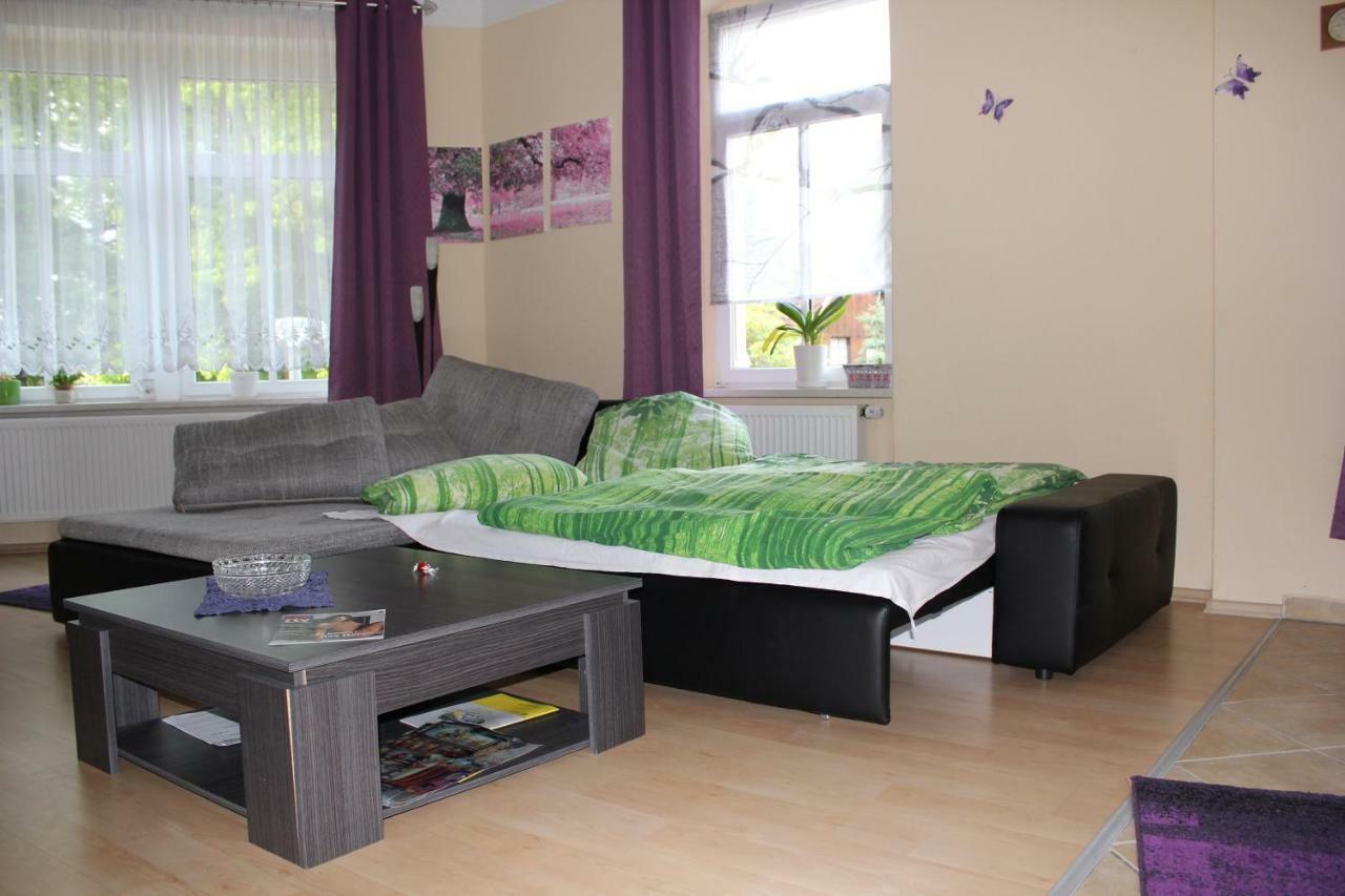 Ferienwohnung Am Schunckpark دريسدن المظهر الخارجي الصورة