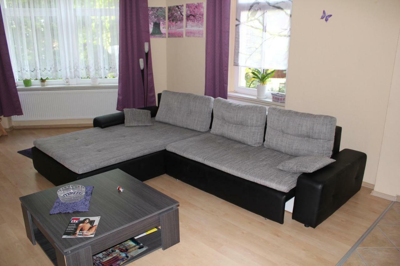 Ferienwohnung Am Schunckpark دريسدن المظهر الخارجي الصورة